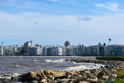 Expertos del sector consideran que las medidas que tomó Uruguay pueden replicarse en la Argentina y solucionar en gran parte la crisis de los alquileres