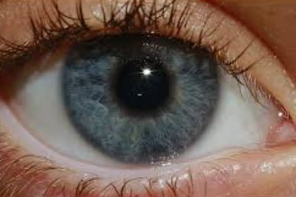 Expertos en oftalmología en la Argentina realizaron un vital descubrimiento que podría ayudar a personas que padecen ceguera