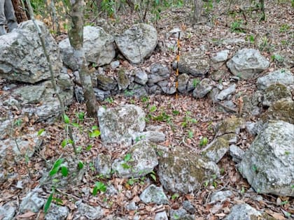 Expertos estiman que la ciudad ubicada en la península de Yucatán fue abandonada una vez que los mayas desaparecieron (Foto: Ivan Sprajc/ZRC SAZU - NYTNS)