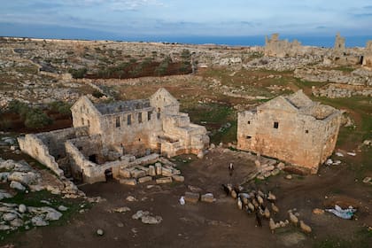 Expertos impulsan restauración de sitios patrimoniales de Siria, incluidas las ruinas de Palmira
