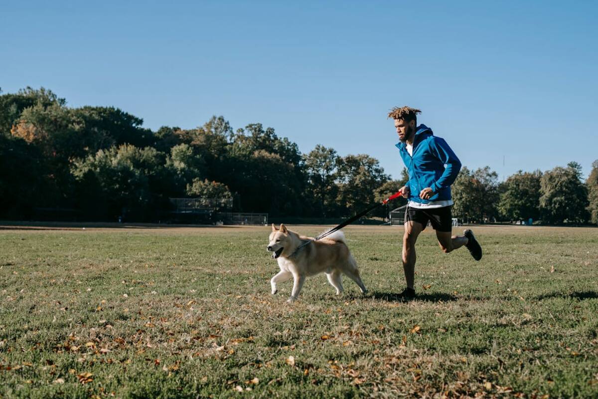 Expertos indican cuáles son los cuidados que hay que tener al momento de ejercitar con tu mascota (Foto Pexels)