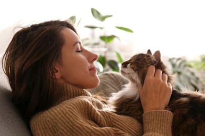 Expertos revelaron cómo funciona la memoria de los gatos