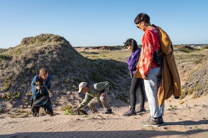 Exploración de nativas costeras