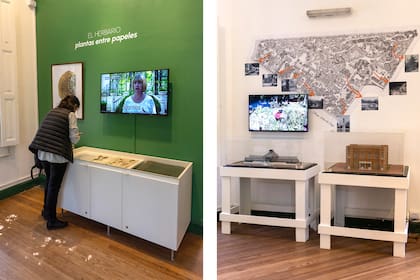 “Explorar el jardín bajo la lupa”. Acá se puede elegir algo y mirarlo bajo la lupa (funciona en horarios reducidos por el momento). También hay videos explicativos.
