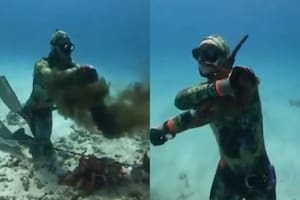 Explorar el mar tiene riesgos que no deben subestimarse (Foto: Captura video X)