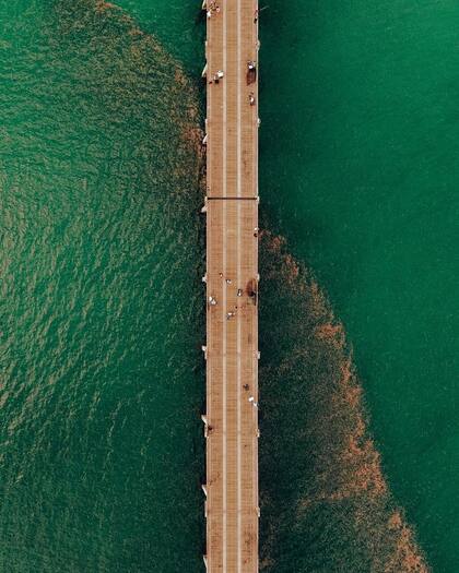 Otra increíble vista área de cómo las medusas se juntaron a un lado del muelle en la playa de Pensacola
