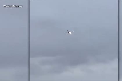 Explosión en uno de los motores de un avión que succionó un conejo