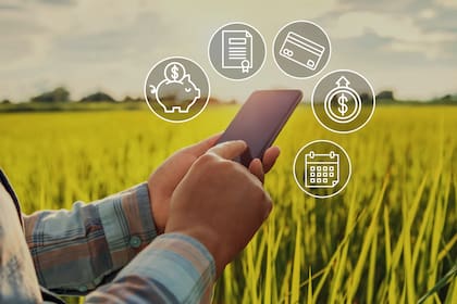 El 9 y 10 de septiembre, representantes de todas estas entidades financieras involucradas en el desarrollo de la producción agroindustrial en la Argentina estarán presentes en Expoagro Digital, la primera exposición virtual de la agroindustria