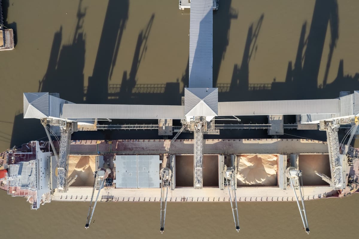 Exportación de granos