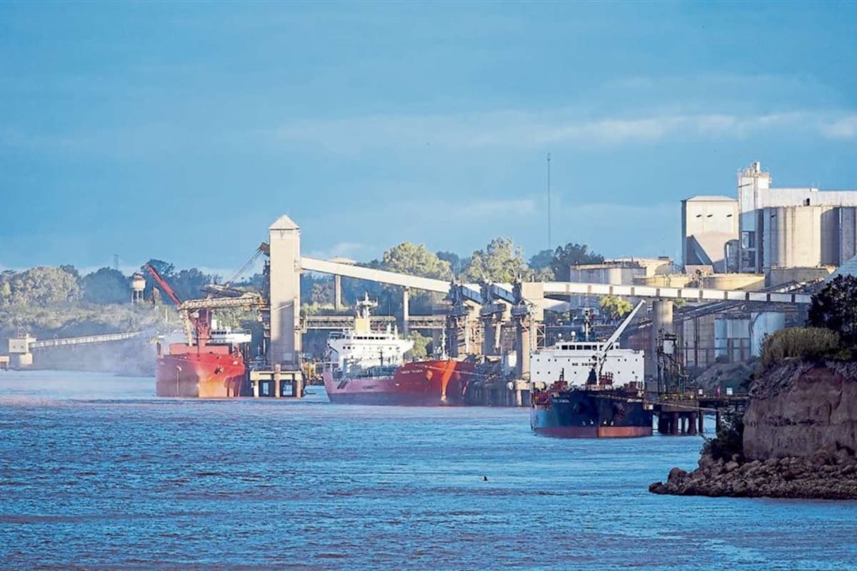 Exportar cereales: ¿cuánto se necesita para equilibrar la importación de otros bienes?