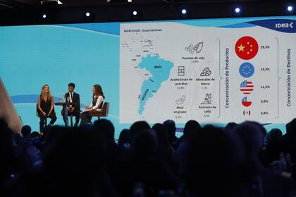 Exposición del consultor Andrés Velasco Brañes en el Coloquio de IDEA en Mar del Plata