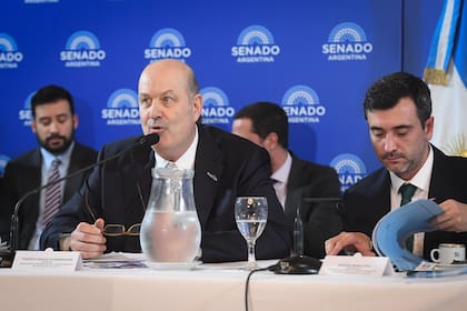 Exposición del Dr. Federico Sturzenegger en la Reunión Plenaria de las Comisiones de Asuntos Constitucionales y Legislación General en el Salón Azul del Honorable Senado de la Nación, Buenos Aires, Argentina.
