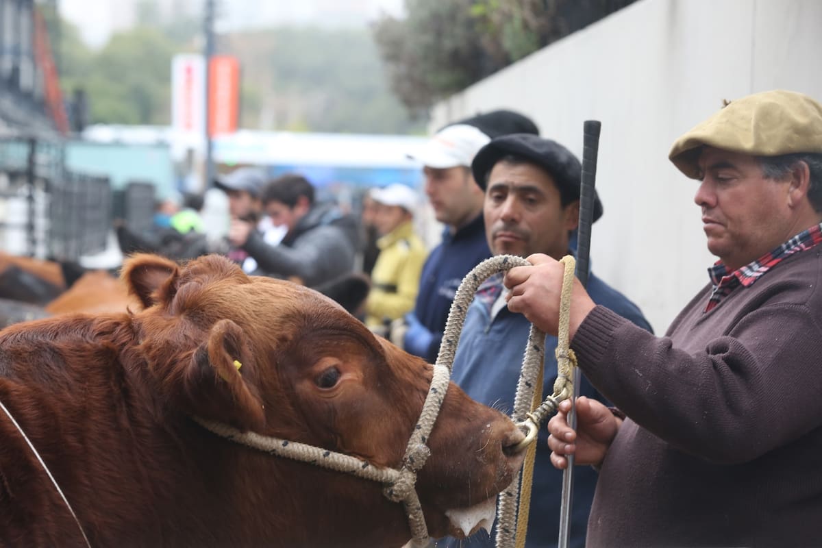Exposicion Rural Argentina
