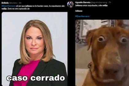 Expulsiones, regresos y venganza: los memes de la mejor gala de Gran Hermano (Foto captura Twitter)