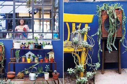 Exterior ambientado con variedad de cactus y suculentas en originales soportes. Estantería para macetas (Boulevard Sáenz Peña) y tres hallazgos callejeros: la silla de bar, el banquito de madera y una vieja lata de galletitas