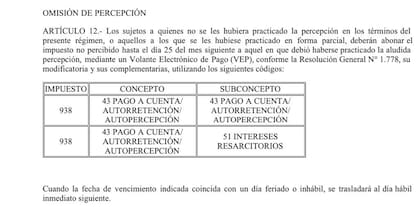 Extracto de la reglamentación de AFIP