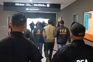 Extraditaron al líder de una red internacional que fraguaba visas para emigrar a los EE. UU.