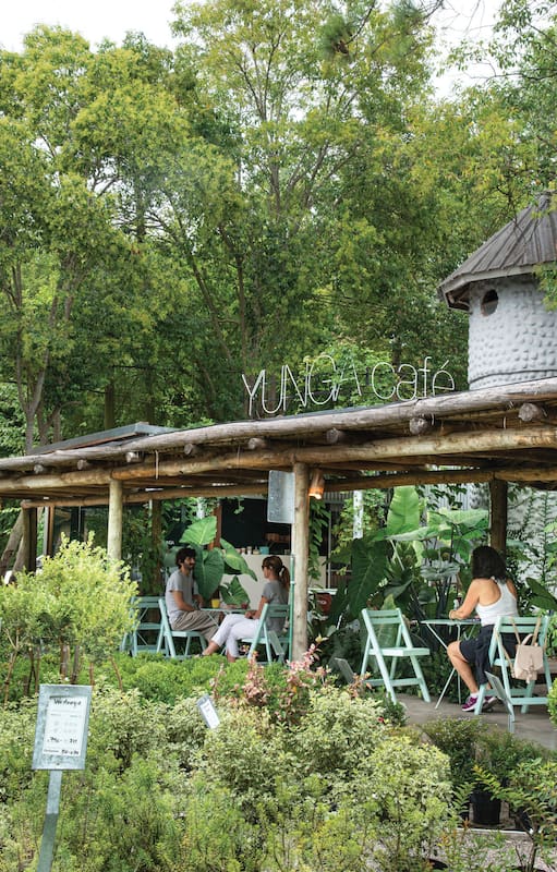 Exuberante: así es la estética de Yunga Café, el bar de Pilar ubicado dentro de un vivero que invita a comer y tomar algo rico en una mini selva.