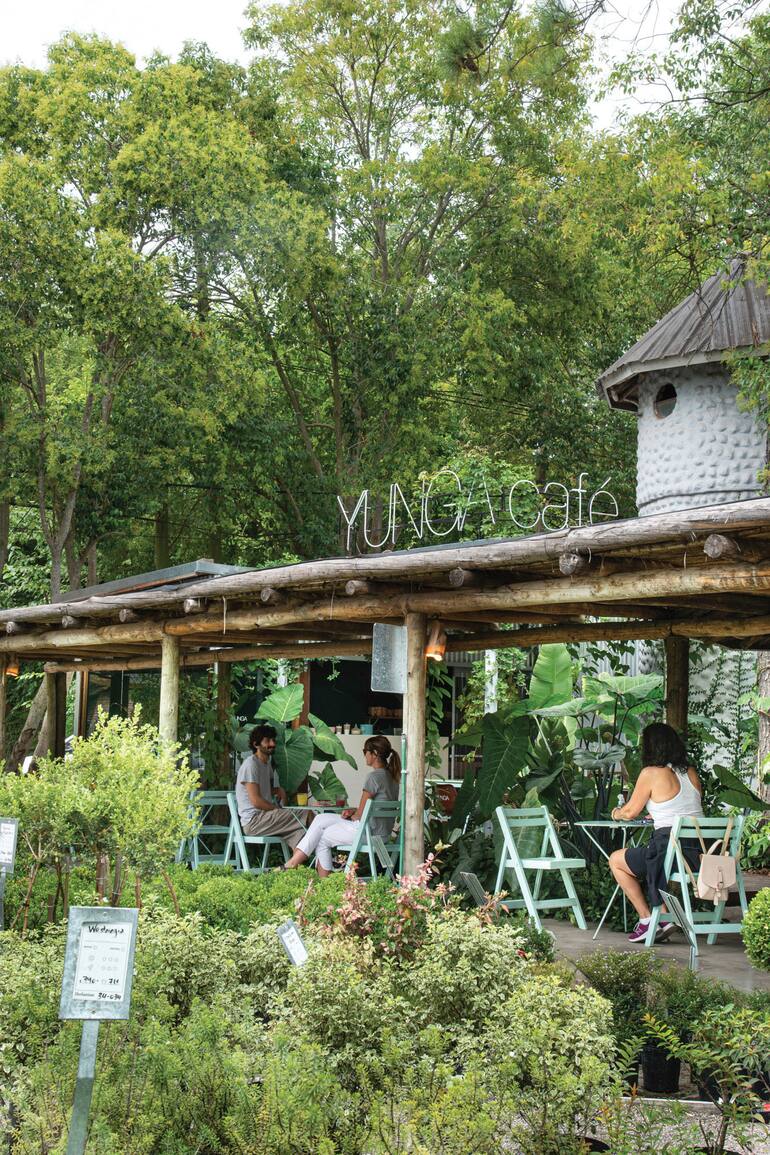 Exuberante: así es la estética de Yunga Café, el bar de Pilar ubicado dentro de un vivero que invita a comer y tomar algo rico en una mini selva.