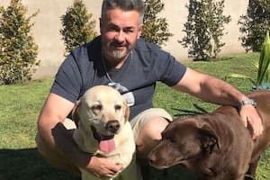 Fabián Folegotto comparte videos de sus animales en TikTok y rápidamente generó un estrecho vínculo con sus seguidores