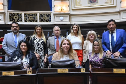 Fabián Luayza (arriba, a la izquierda) y Gustavo Cuervo (en el centro), libertarios críticos de Milei