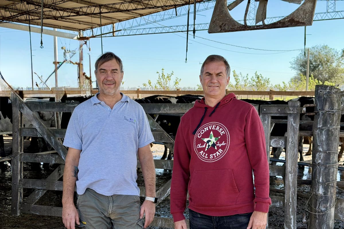 “Não bastava sustentar três famílias”: a decisão repentina que transformou uma fazenda leiteira em outra coisa.