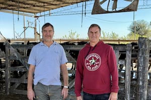 La abrupta decisión que convirtió un tambo en otra cosa