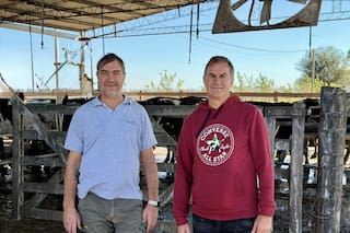 La abrupta decisión que convirtió un tambo en otra cosa