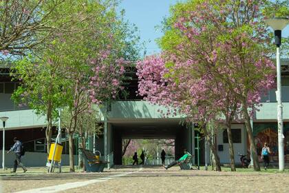 Facultad de Ciencias Médicas de la Universidad Nacional de Córdoba