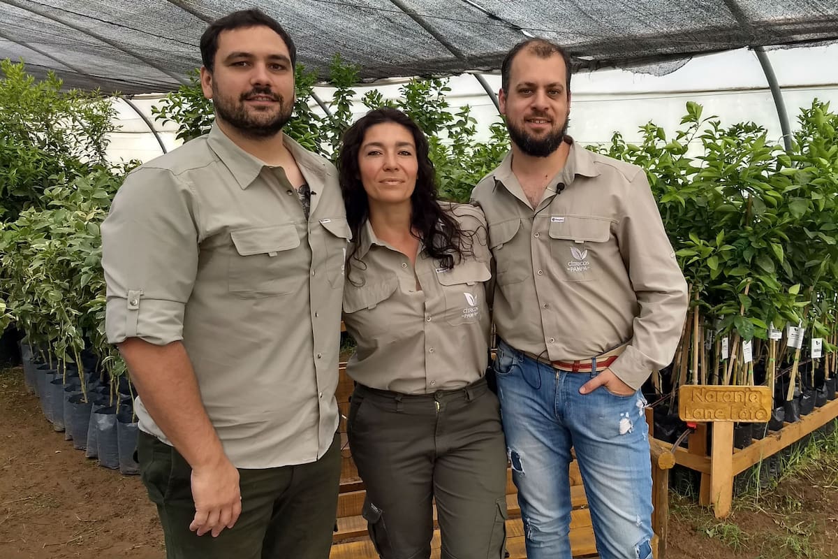Facundo Alecha, Pablo Damiani, Rocío Severino crearon un negocio de plantas de cítricos que tuvo un boom durante la pandemia