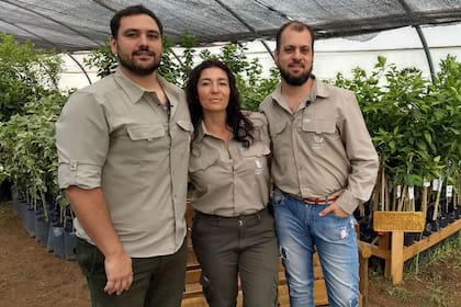 Facundo Alecha, Rocío Severino y Pablo Damiani crearon un negocio de plantas de cítricos que tuvo un boom durante la pandemia
