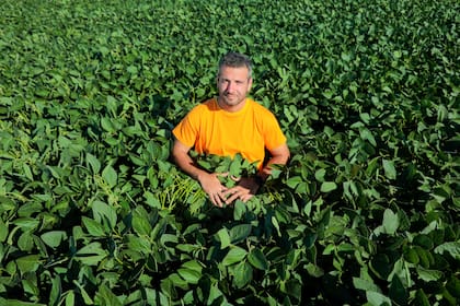 Facundo Camerini, productor de Tandil.