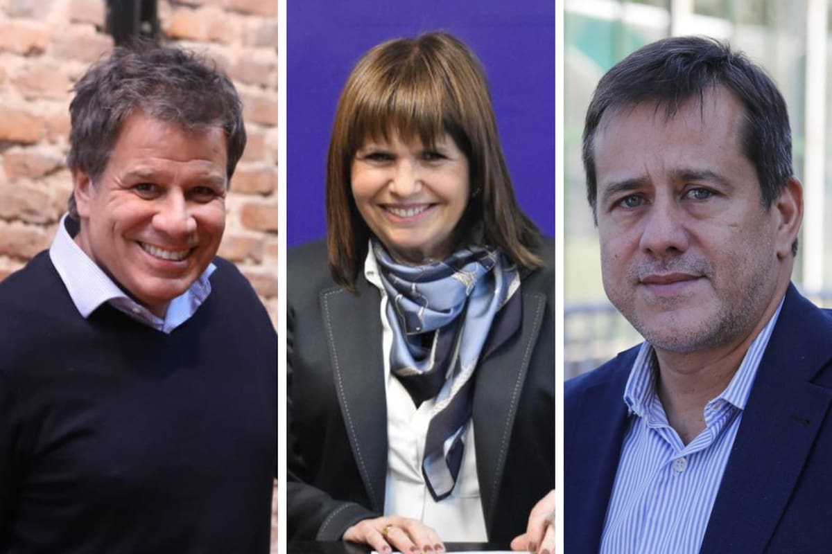 Facundo Manes, Patricia Bullrich y Martín Recalde son candidatos a senadores para CABA en las elecciones legislativas nacionales