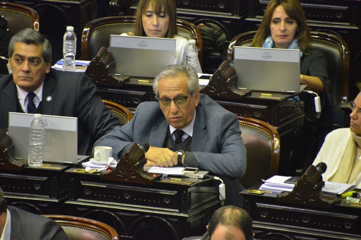 Facundo Suárez Lastra Diputado Nacional UCR - Juntos por el Cambio.