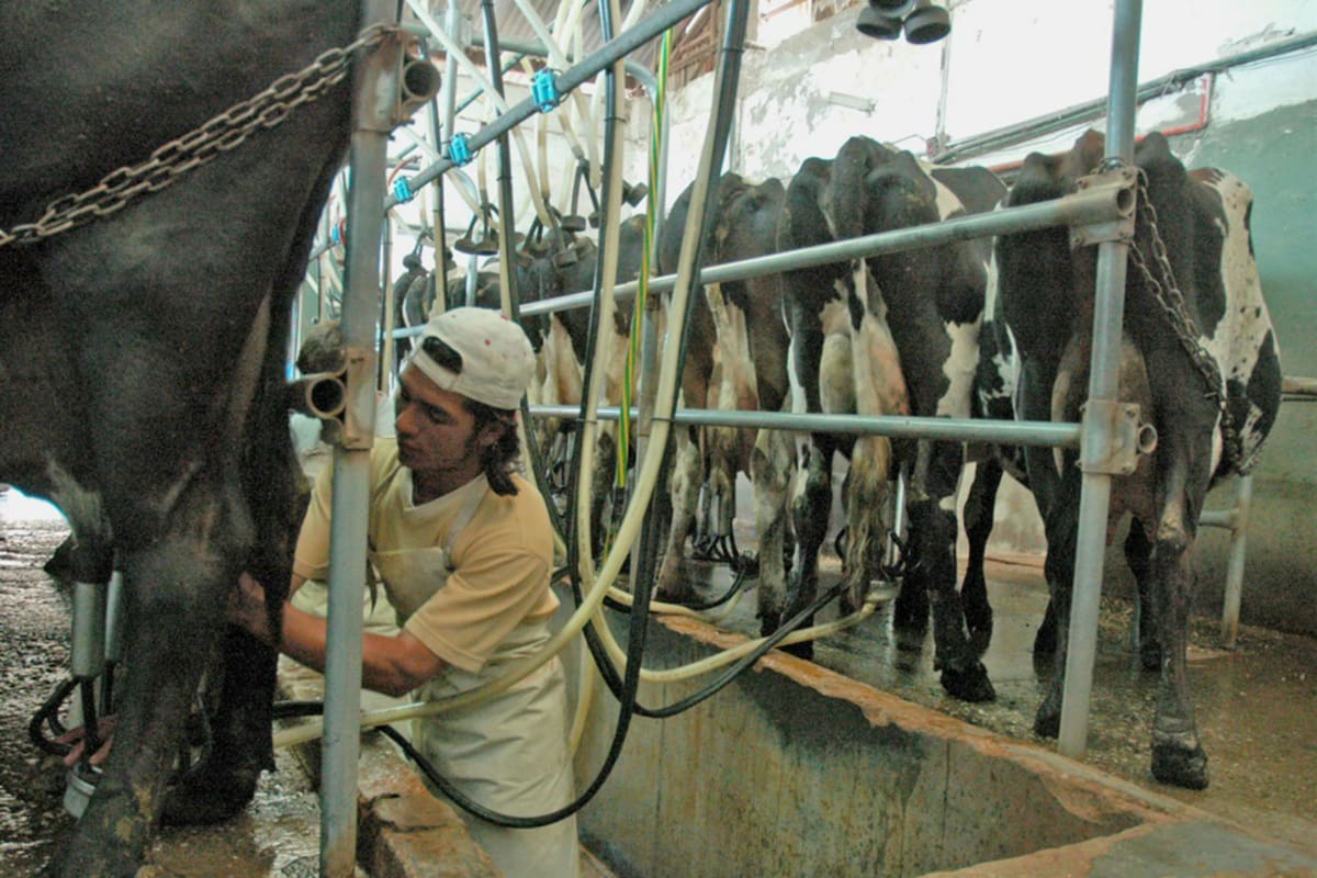 FADA destaca que empeoraron las condiciones económicas para los tambos