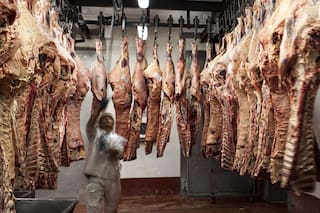 Qué es la fiebre Q, la enfermedad que provocó una alerta epidemiológica