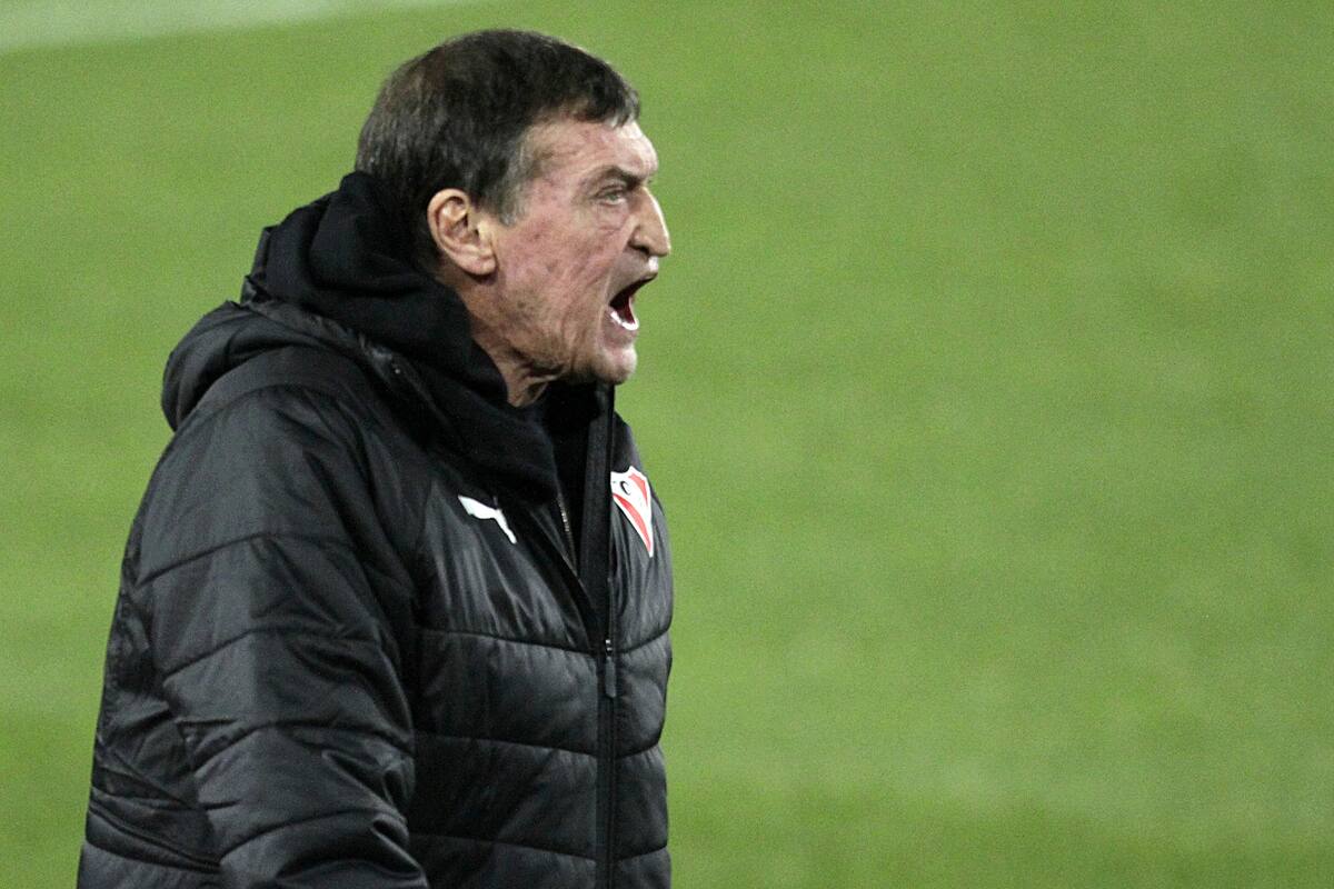 Falcioni, DT de Independiente