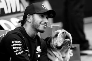 Falleció Roscoe, el perro de Lewis Hamilton