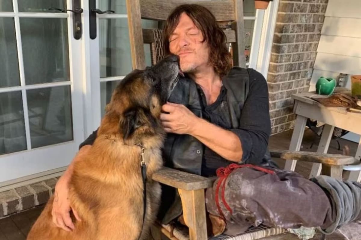 Falleció Seven, el perro actor de The Walking Dead