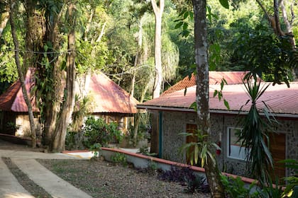 Falling Leaves, San Ignacio.