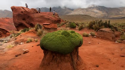 Famatina: Tres Piedras, a unos 3400 metros sobre la sierra del Famatina, un lugar ideal para el trekking y las caminatas