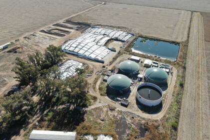 familia de Cordoba que tiene un criadero de cerdos e instalo un biodigestor que genera electricidad a partir del estiercol de los animales
BIOGAS
2022
campo
chanchos cerdo puerco