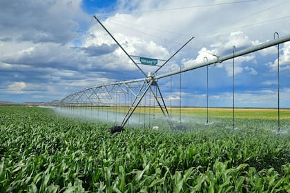 Familia García Parra en el Valle Azul, Río Negro, en la Patagonia. Cultivos bajo riego. Cría en Patizal natural. Recría en pastura de alfalfa y feedlot