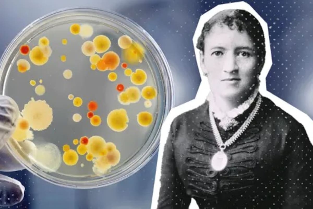Fanny Angelina Hesse, una mujer de la que pocos –incluidos muchos microbiólogos- oyeron hablar