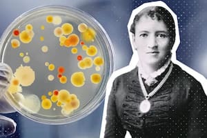 Fanny Angelina Hesse, una mujer de la que pocos –incluidos muchos microbiólogos- oyeron hablar