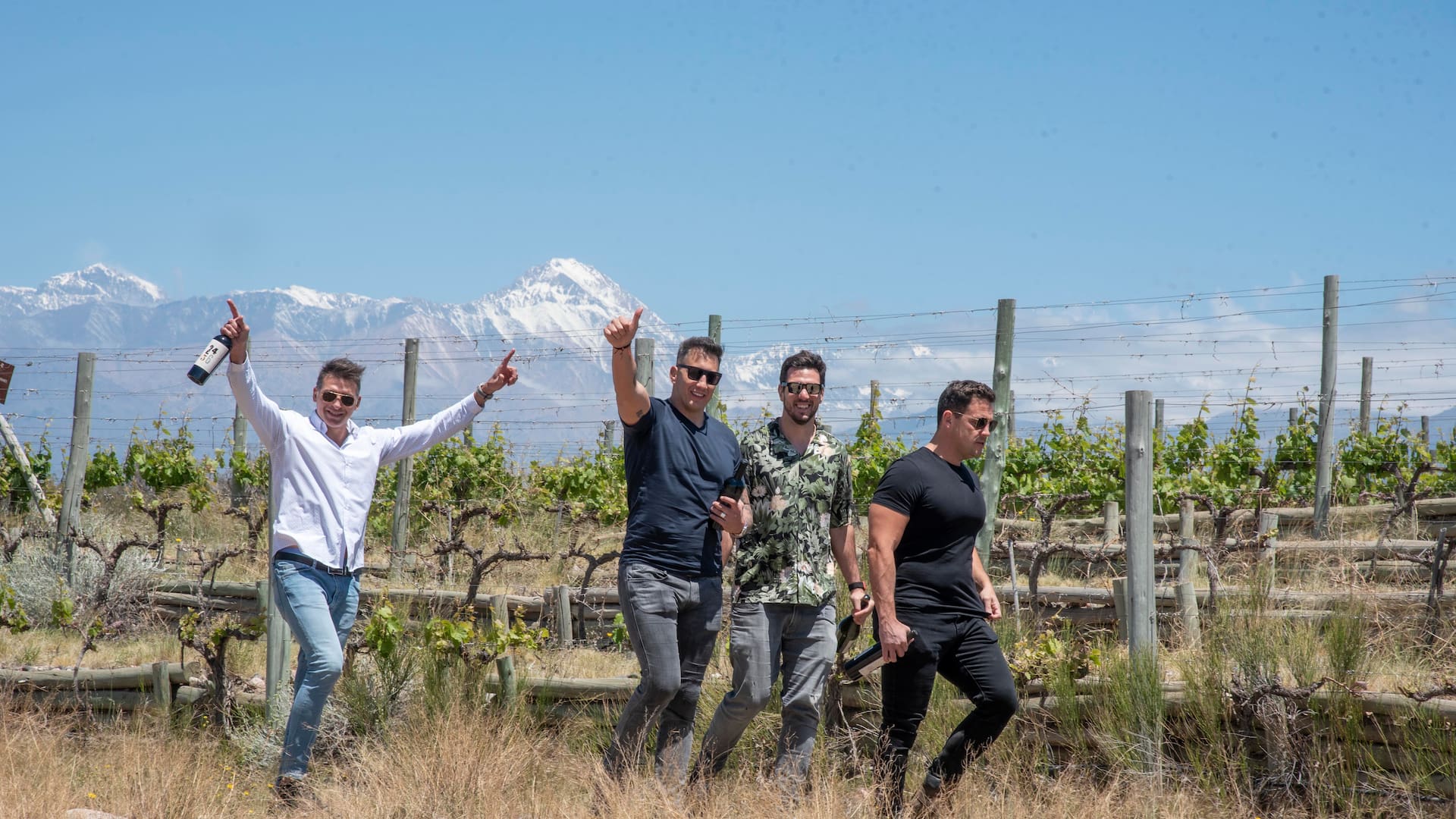 Farías, Albacete, Carriza y Guiñazú. Los cuatro Pumas lanzaron "2456 wines", su propia etiqueta