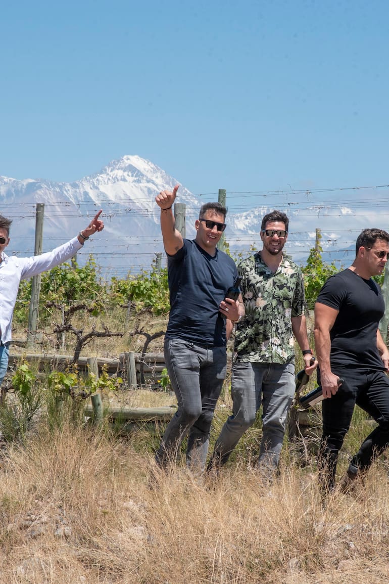 Farías, Albacete, Carriza y Guiñazú. Los cuatro Pumas lanzaron "2456 wines", su propia etiqueta