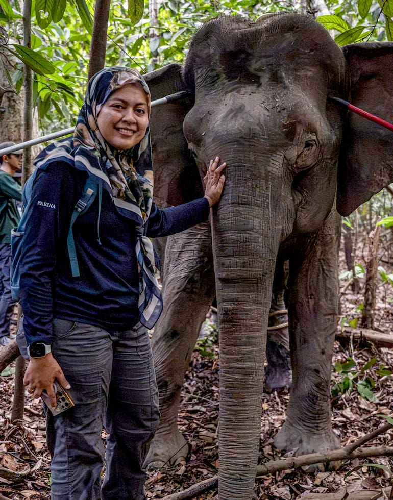 Farina Othman, conservacionista dedicada a los elefantes de Borneo y fundadora de Seratu Aatai