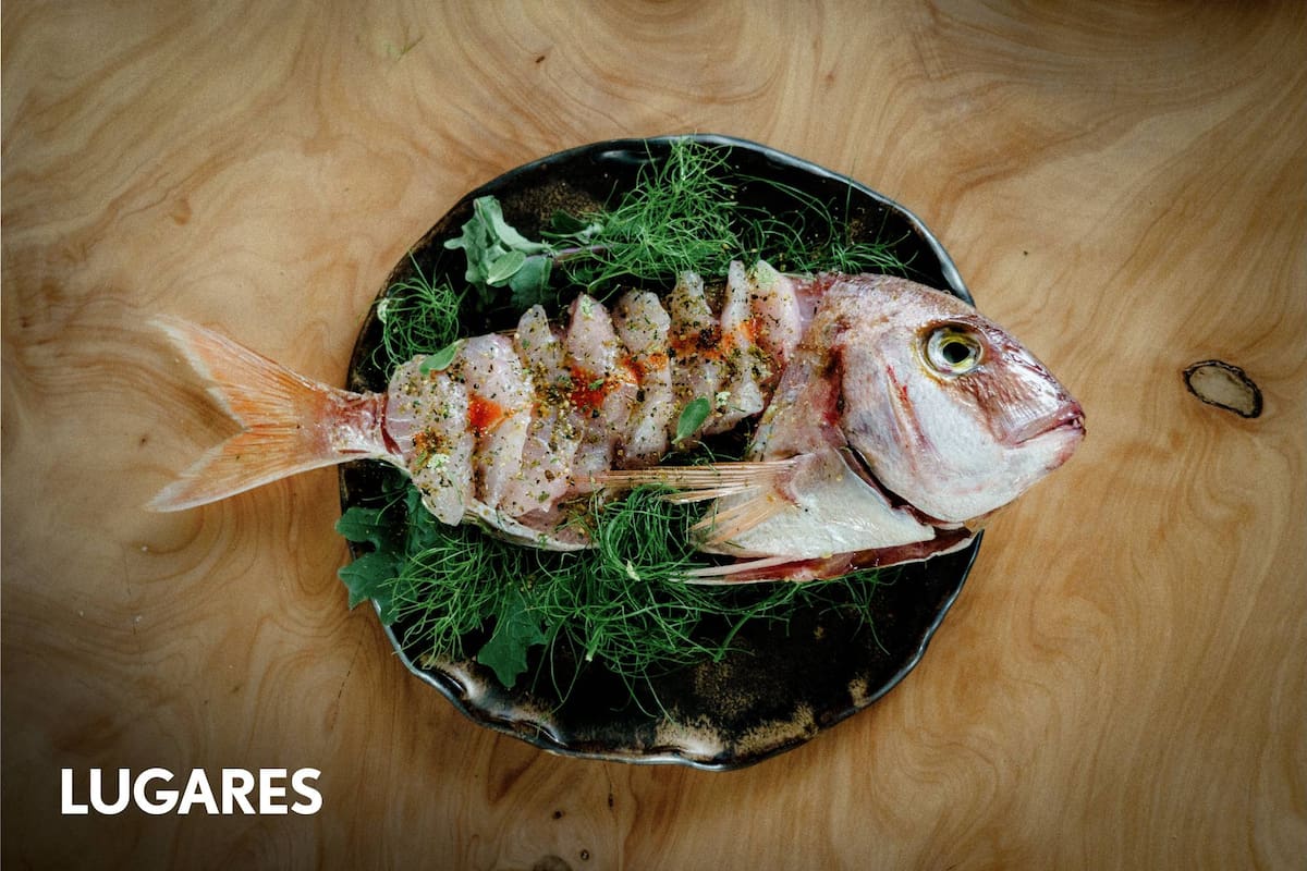 Mar de Fondo, una de las novedades marplatenses que apuestan por la cocina de mar.