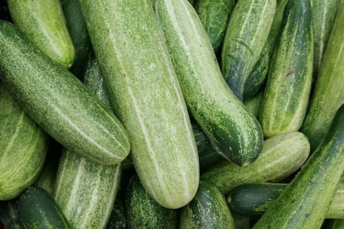 Favorece el tránsito intestinal y la salud digestiva en general